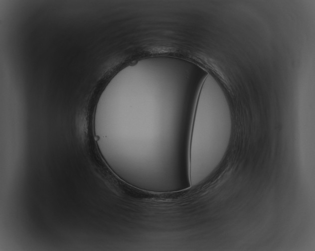 X0000100950539200806241125