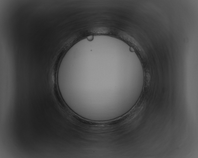 X0000100950541200806241125