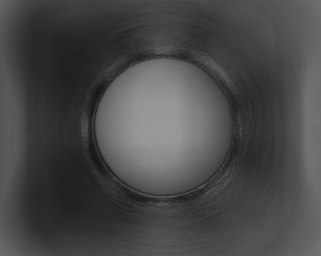 X0000100950542200806241125