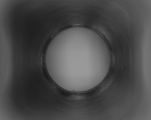 X0000100950545200806241125