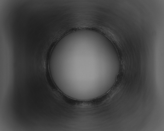 X0000100950546200806241125