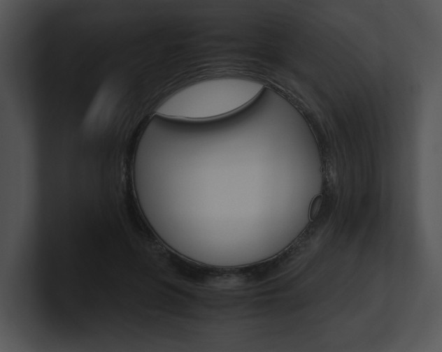 X0000100950551200806241125