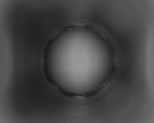 X0000100950552200806241125