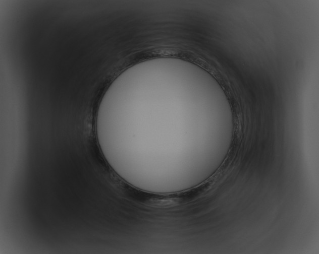 X0000100950553200806241125