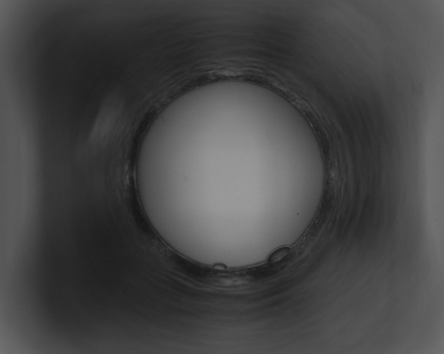 X0000100950555200806241125