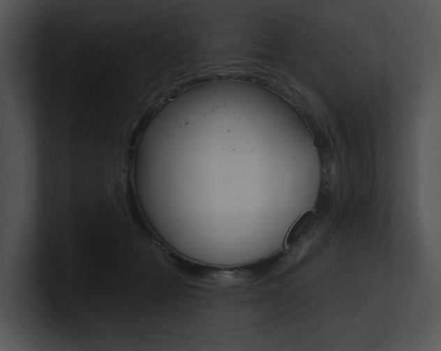 X0000100950558200806241125