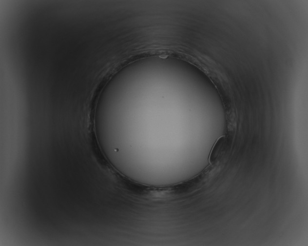 X0000100950560200806241125