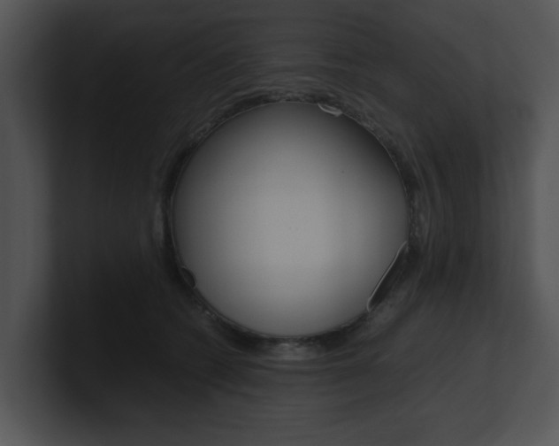 X0000100950562200806241125