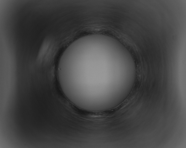 X0000100950563200806241125