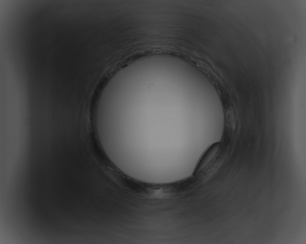 X0000100950564200806241125