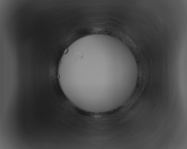 X0000100950565200806241125