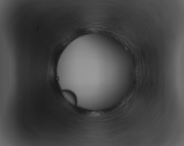 X0000100950566200806241125