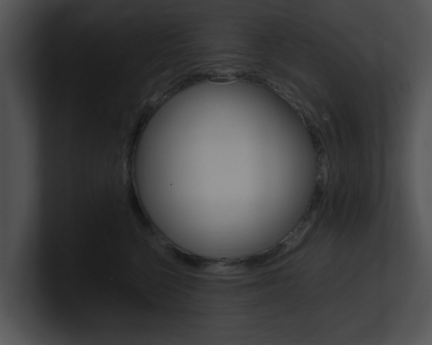 X0000100950568200806241125