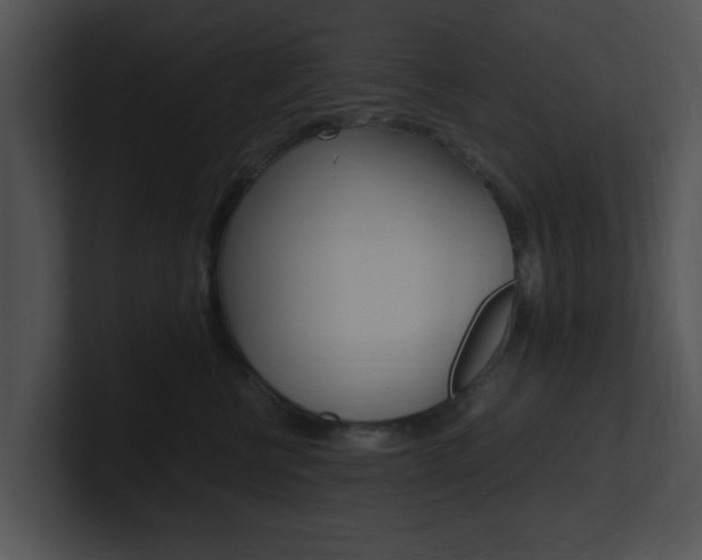 X0000100950570200806241125
