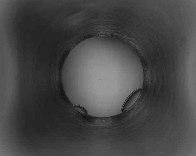 X0000100950571200806241125