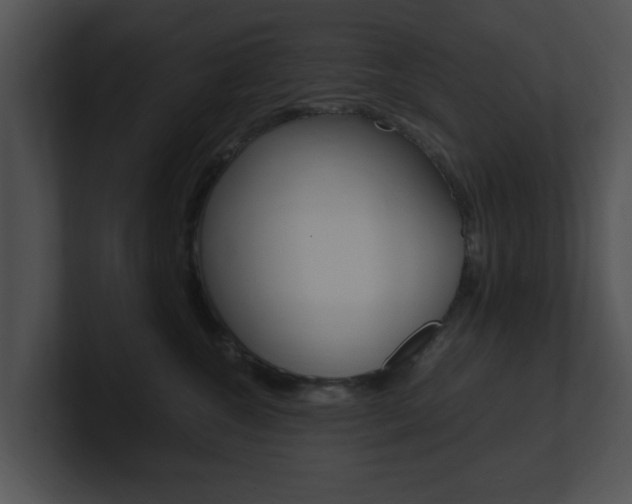 X0000100950572200806241125