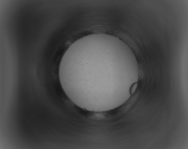 X0000100950573200806241125