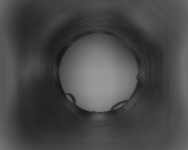 X0000100950574200806241125