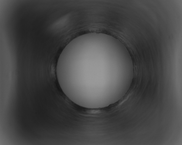 X0000100950575200806241125
