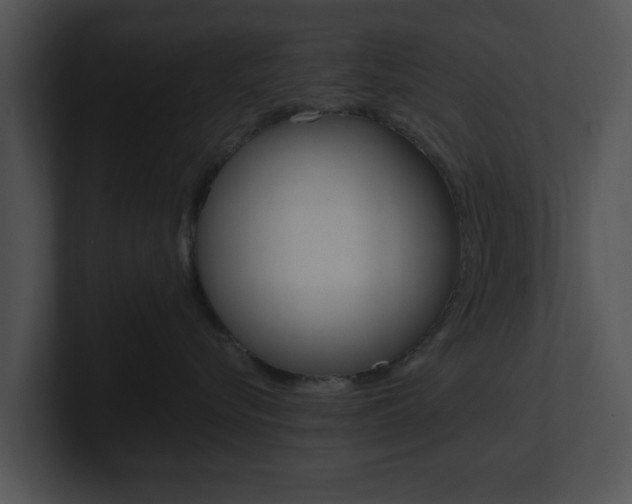 X0000100950576200806241125