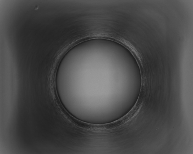 X0000100950577200806241125
