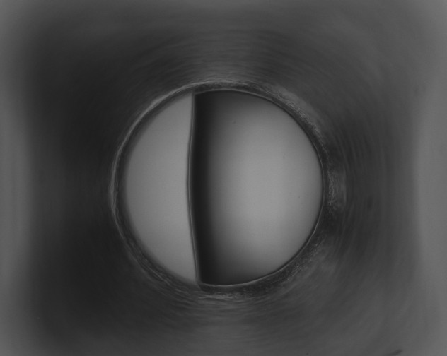 X0000100950580200806241125
