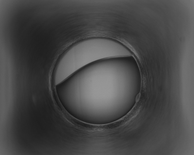 X0000100950581200806241125