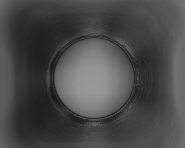 X0000100950582200806241124