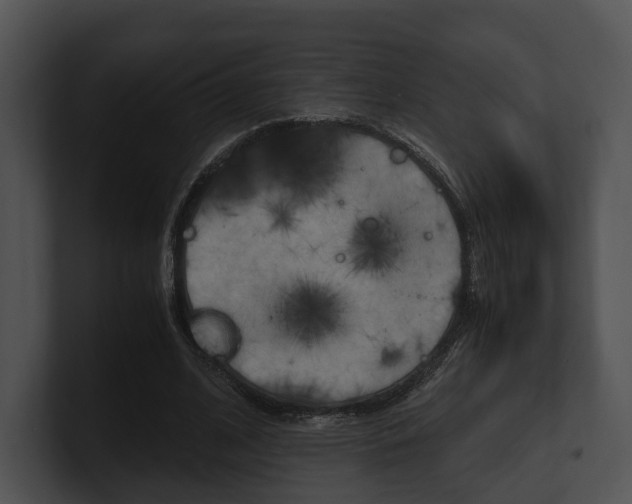 X0000100950584200806241124