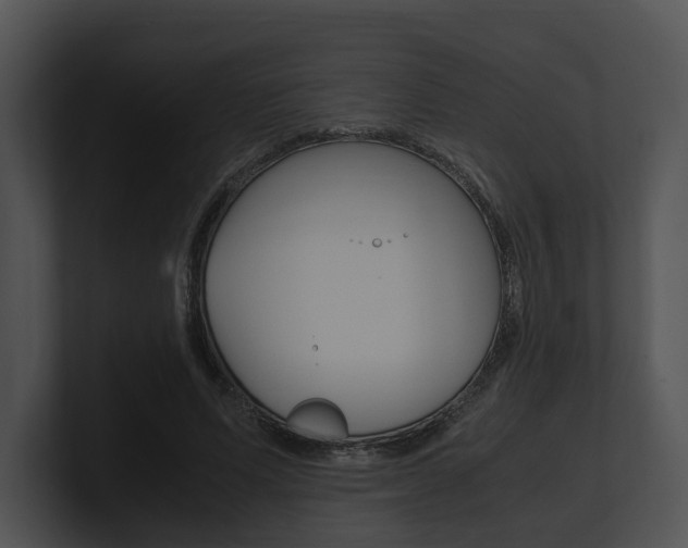 X0000100950591200806241124