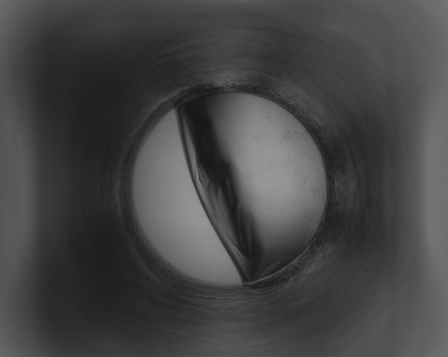 X0000100950592200806241124