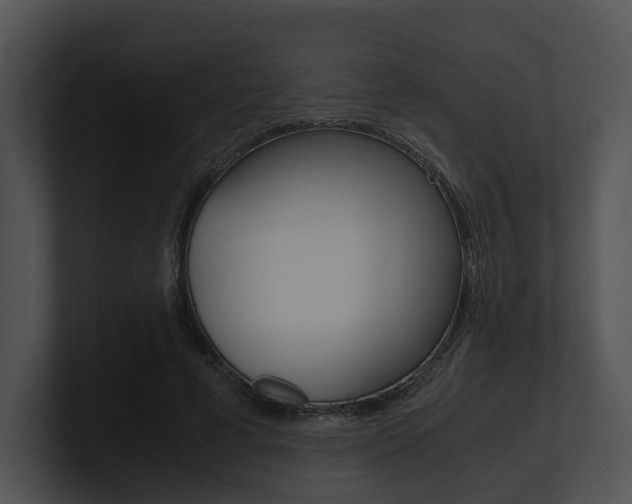 X0000100950593200806241124