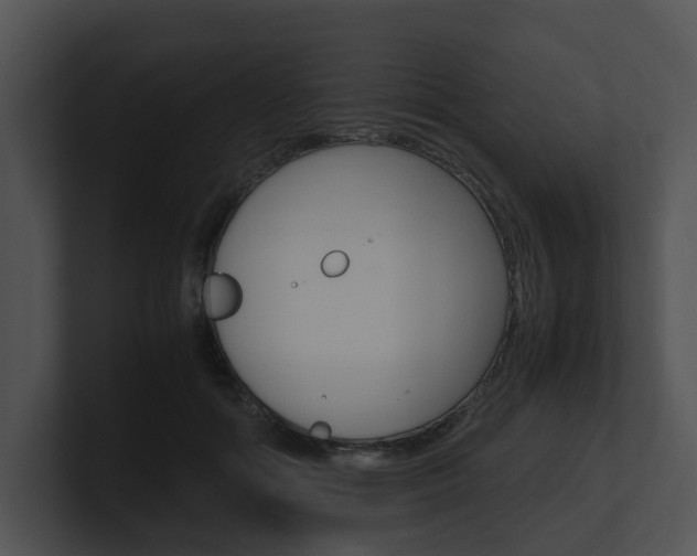 X0000100950602200806241124