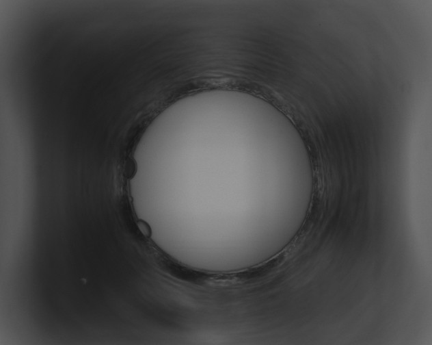 X0000100950606200806241124