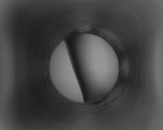 X0000100950608200806241124