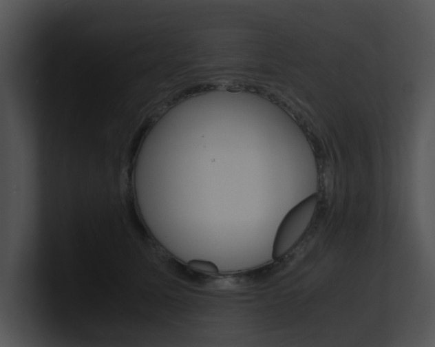 X0000100950611200806241124