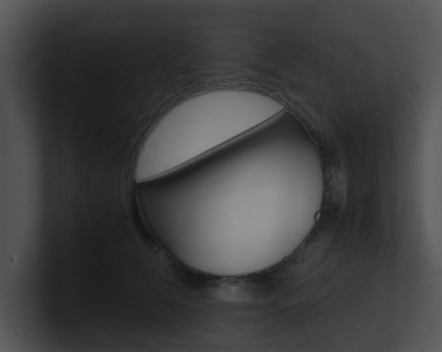 X0000100950612200806241124