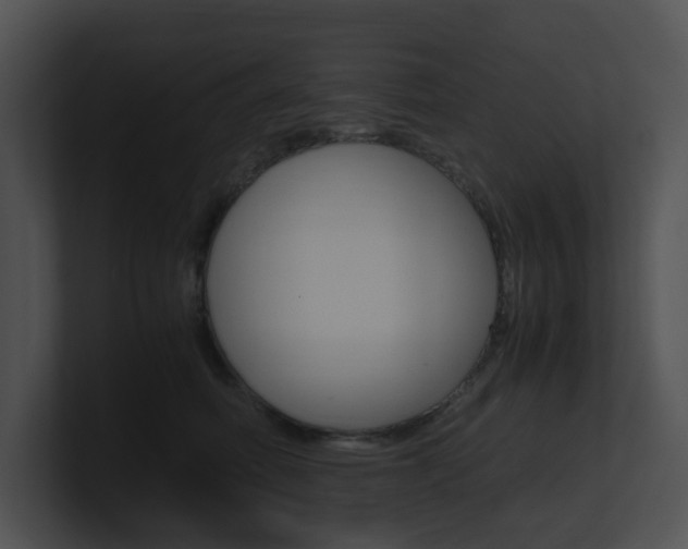 X0000100950614200806241124