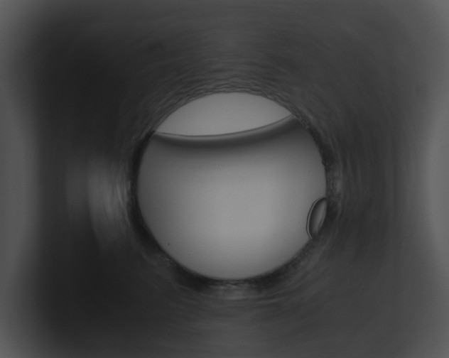 X0000100950615200806241124