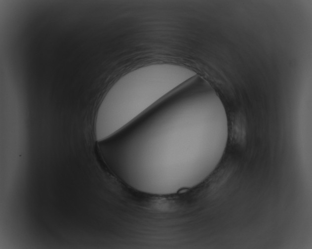X0000100950616200806241124