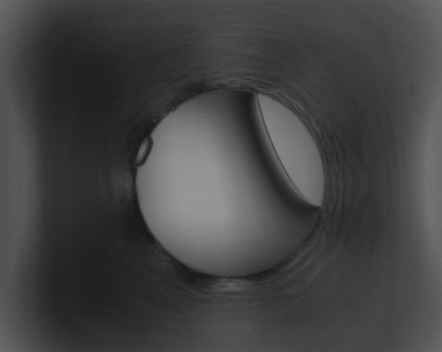 X0000100950617200806241124