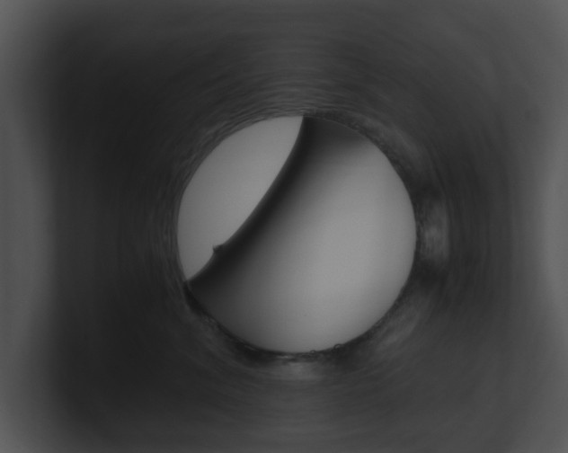 X0000100950620200806241124
