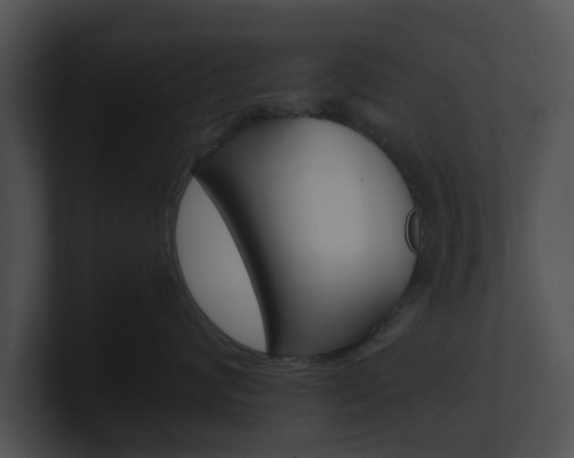 X0000100950624200806241124
