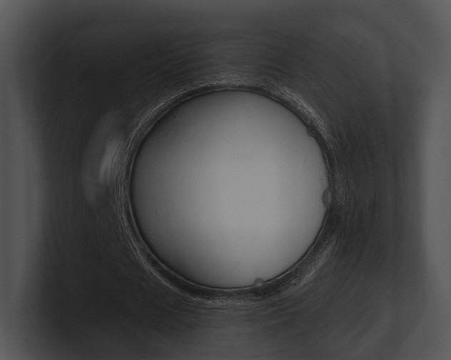 X0000100950625200806241123