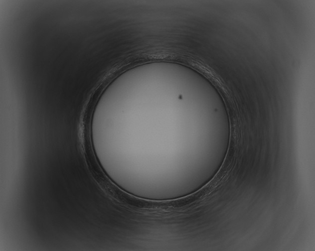 X0000100950626200806241123