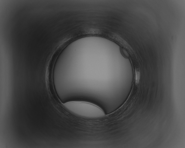 X0000100950627200806241123