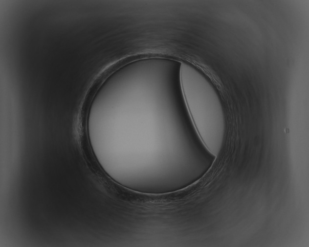 X0000100950628200806241123