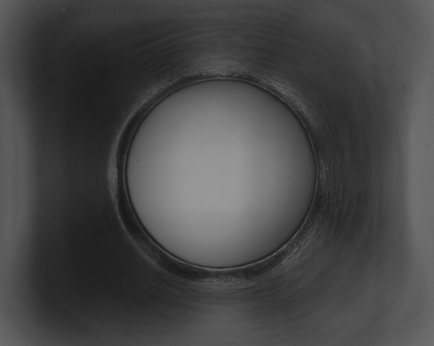 X0000100950630200806241123