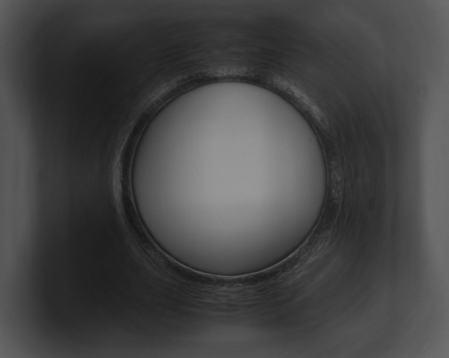 X0000100950631200806241123