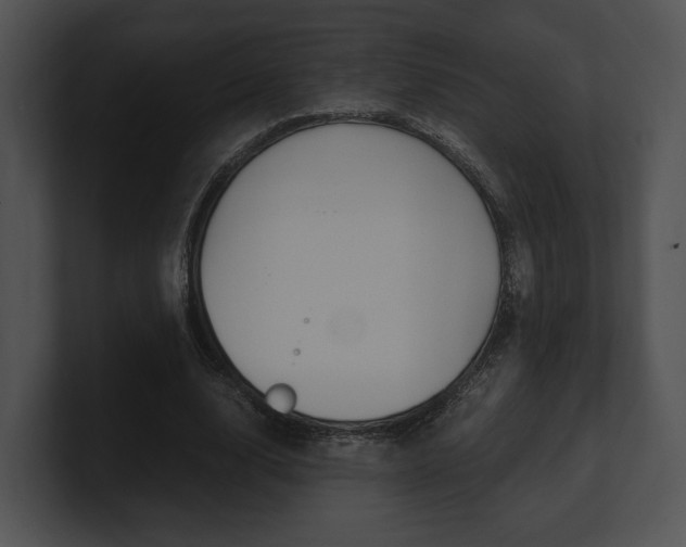 X0000100950632200806241123